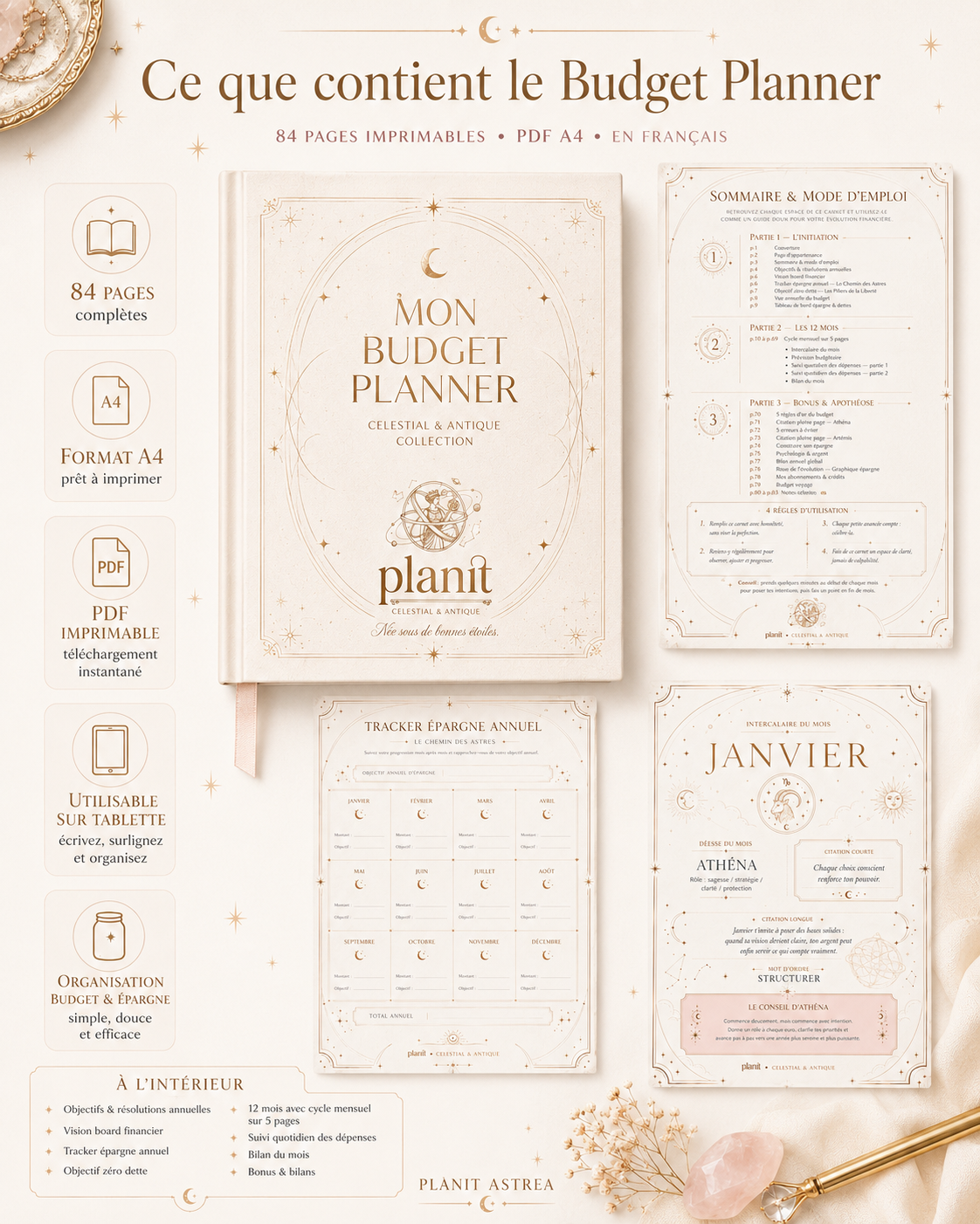 Page objectifs et résolutions annuelles du Budget Planner PlanIt Astrea